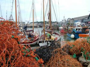 fishing.nets